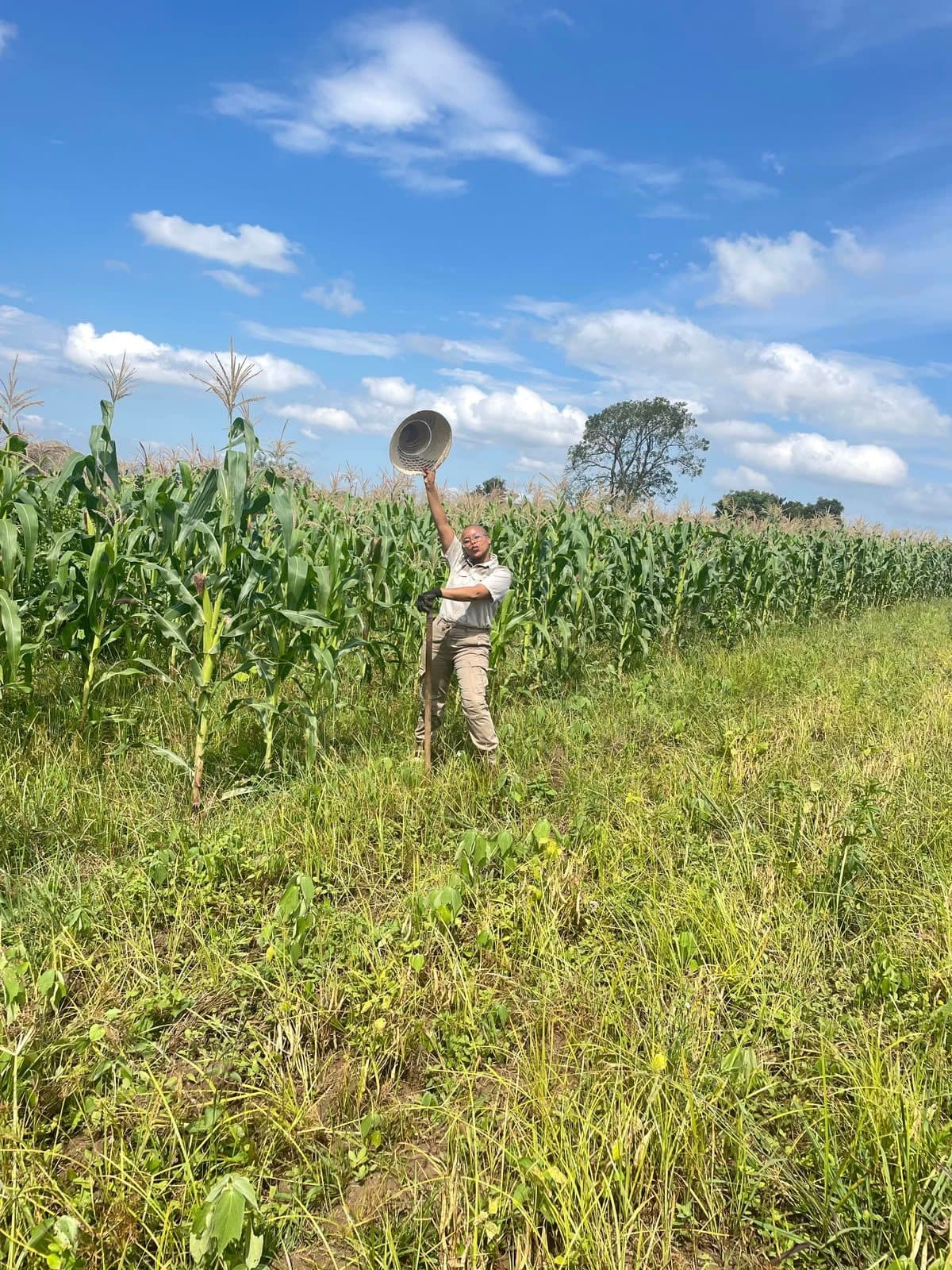 Nonjabulo celebrating in a tall maize field